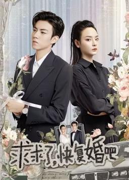 求求了，快復婚吧(全集)