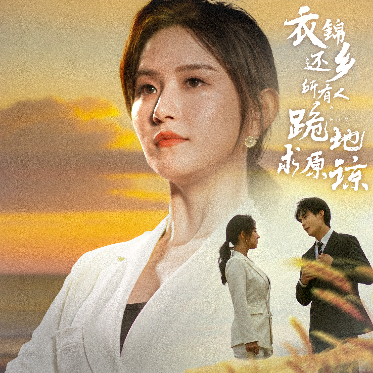 衣錦還鄉(xiāng)，所有人跪地求原諒(全集)